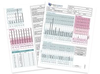 Hair Tissue Analysis (TEI Profile 16) for Equine